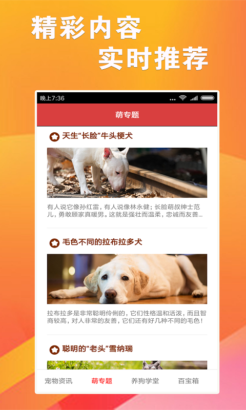7777788888跑狗论坛资料,探索跑狗论坛，77777与88888的交汇点